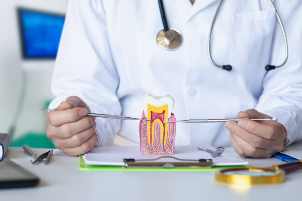 Best Emergency Treatment for Toothache in Johnson City, NY